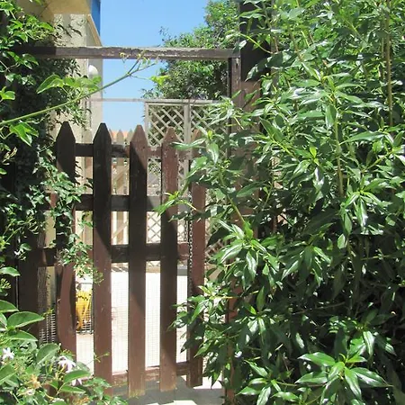 Serendipity House
